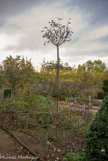 <center>Les Chartreuses des Montreuils. </center> Passant d'un jardins  à un autre, l'on passe d'une époque à une autre. Le verger sculpté.