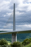 <center>Sentier des Explorateurs avec le Viaduc de Millau.</center>Les sept pylônes ont la forme d’un V renversé. Hauts de 89 m et pesant environ 700 tonnes, ils prennent appui sur les piles. Chacun d'entre eux permet l'ancrage de onze paires de haubans qui assurent ainsi le soutien du tablier. Les pylônes métalliques ont été fabriqués dans l’usine Munch, filiale d’Eiffel à Frouard. Les haubans, fabriqués par la société Freyssinet, sont constitués de faisceaux de monotorons parallèles, chaque monotoron étant lui-même un assemblage de sept fils élémentaires. Chaque hauban comporte 45 à 91 torons.