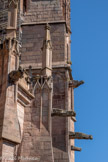 <center>La cathédrale Notre-Dame de Rodez</center>Mais la tour est également peuplée d’un véritable bestiaire fantastique où se mêlent gargouilles, créatures fabuleuses et animaux.