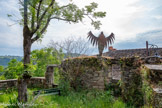 <center>Najac</center>Un art du métal. Une des 8 Sculptures dans Najac de Wilfried Leroy.