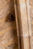 <center>La chartreuse Saint-Sauveur.</center>Le petit cloître. Des chauve-souris.