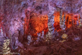 <center>Grotte de la Salamandre</center>