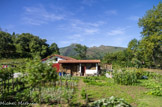 <center>Paysage Basque</center>