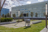 <center>Le  « jardin de lecture » </center>