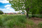 <center>La cité des Bormettes.</center>Entre les platanes existait une rue qui allait vers les résidences de l'Argentière. A gauche, l'espace aujourd'hui en friche était autrefois couvert de jardins potagers ouvriers.