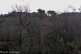 <center>Domaine Départemental de Pichauris.</center>Dans les arbres, la propriété Luc.