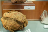 <center>Musée  Associatif </center>Bombe Volcanique. Olivine.