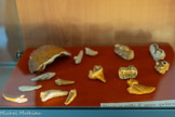 <center>Musée  Associatif </center>Dents et griffes d'ursus spalaeus (ours des cavernes). Le Paléolithique est la première et la plus longue période de la Préhistoire, durant laquelle les humains sont tous des chasseurs-cueilleurs. Le Paléolithique commence avec l’apparition des premiers outils lithiques, il y a 3,3 millions d'années en Afrique. Il s'achève il y a 11 700 ans avec la fin de la dernière période glaciaire, qui ouvre la voie au Mésolithique. Le Paléolithique, le Mésolithique et le Néolithique se succèdent dans cet ordre et forment l'âge de la pierre.