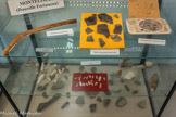 <center>Musée  Associatif </center>Reconstitution d'une faucille néolithique en bois avec des lames de pierre polie collées.