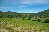 <center>Le Synclinal de la forêt de Saoû</center>Chastel-Arnaud .