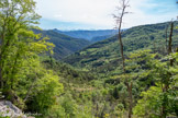 <center>Le Synclinal de la forêt de Saoû</center>Col de la Chaudière. Au fond, les écrins.