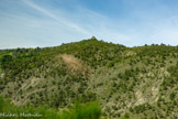<center>Le Synclinal de la forêt de Saoû</center>La tour de Bézudun.