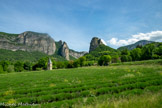 <center>Le Synclinal de la forêt de Saoû</center>Le roc de saoû à droite, la Tour à gauche, avec les Aiguilles derrière.