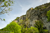 <center>Le Synclinal de la forêt de Saoû</center>Sur la route du Pas de Lauzens.