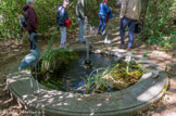 <center>Les jardins de Romégas</center>